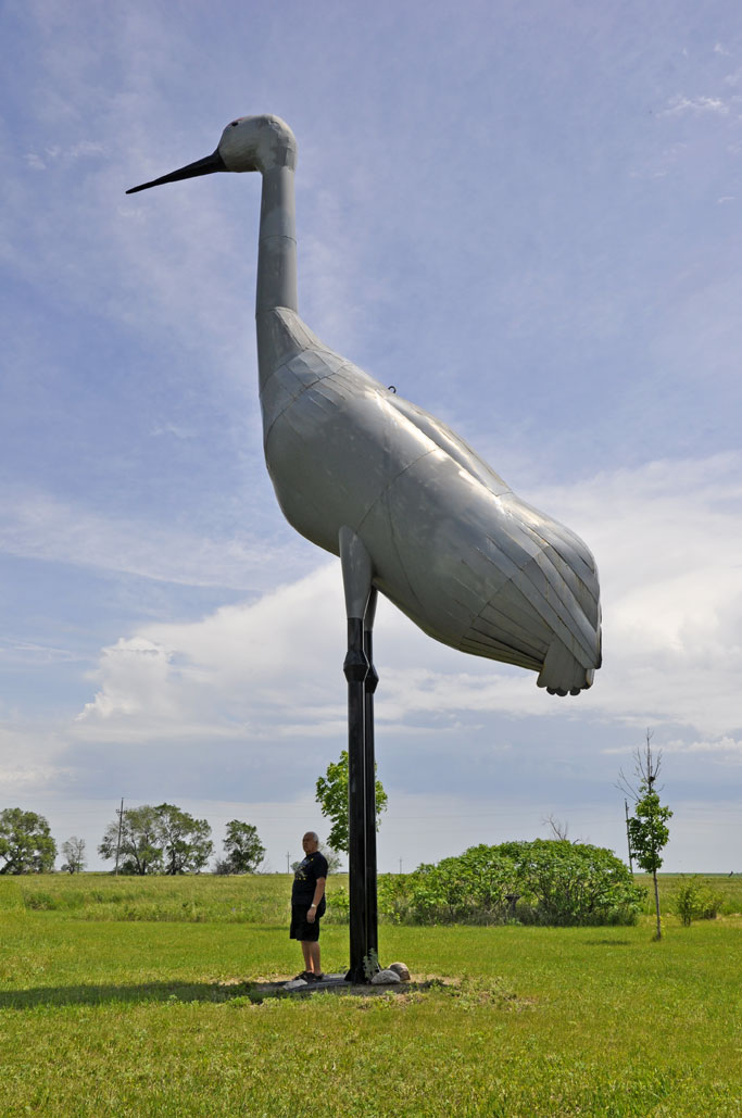 the world's largest sandhill crane